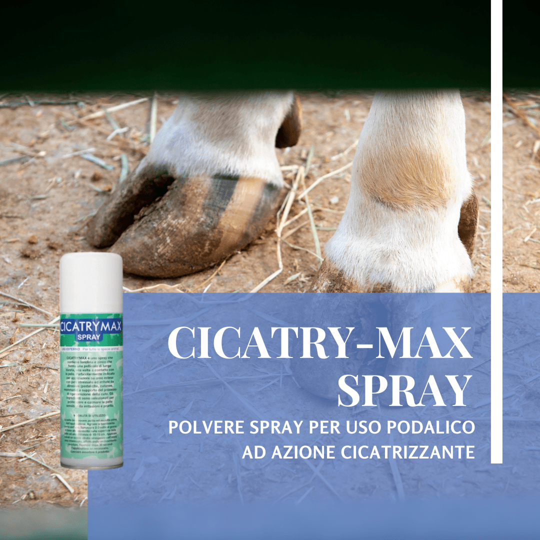 Cicatry-max spray