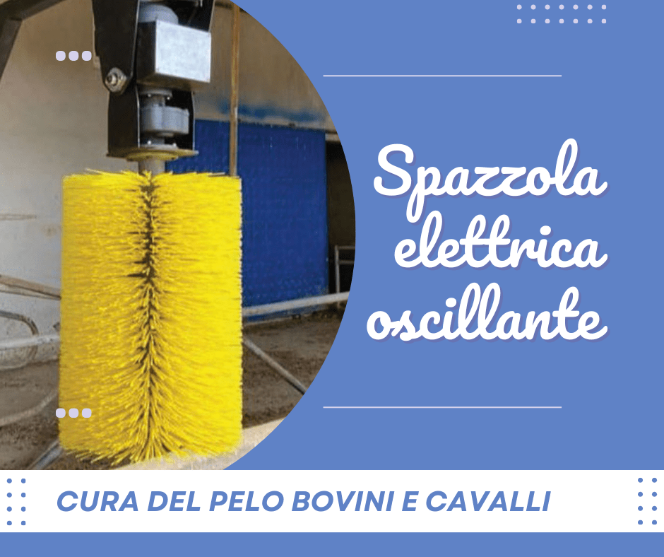 Spazzola elettrica oscillante