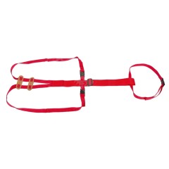 Basto in Nylon per prolasso uterino Ovini