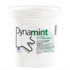 Dynamint