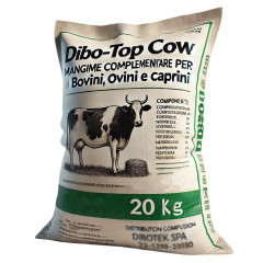 Dibo Top Cow