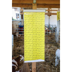 Rotolo carta moschicida jumbo xl 10 m x 40 cm
