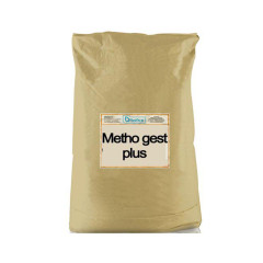 Metho gest plus GP