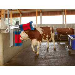 Spazzolone per bovini elettrico happycow duo