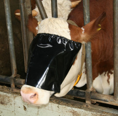 Maschera copri occhi in nylon con elastico per bovini