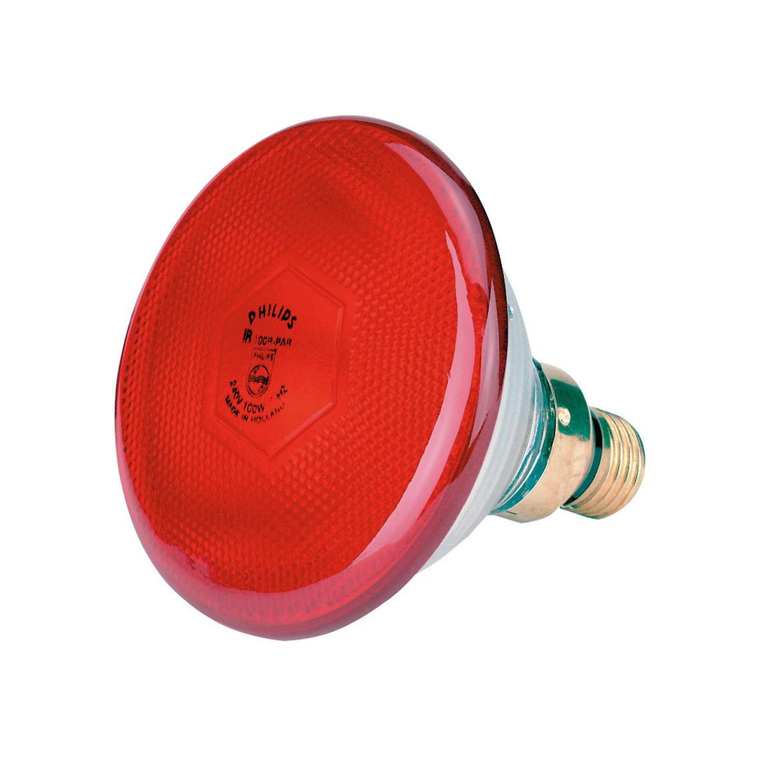Lampada Philips infrarossi