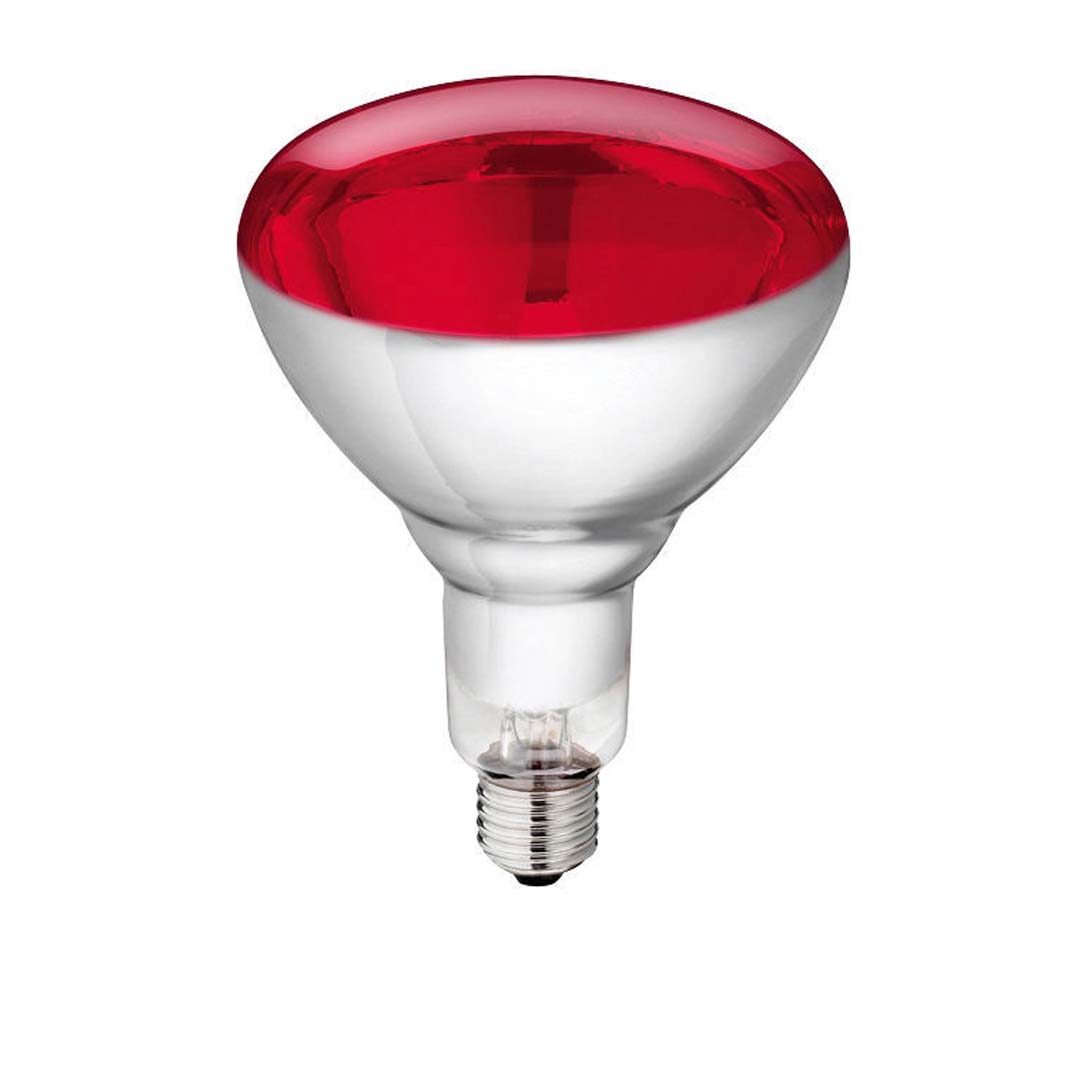 Philips lampada a infrarossi con vetro duro rosso 150 w