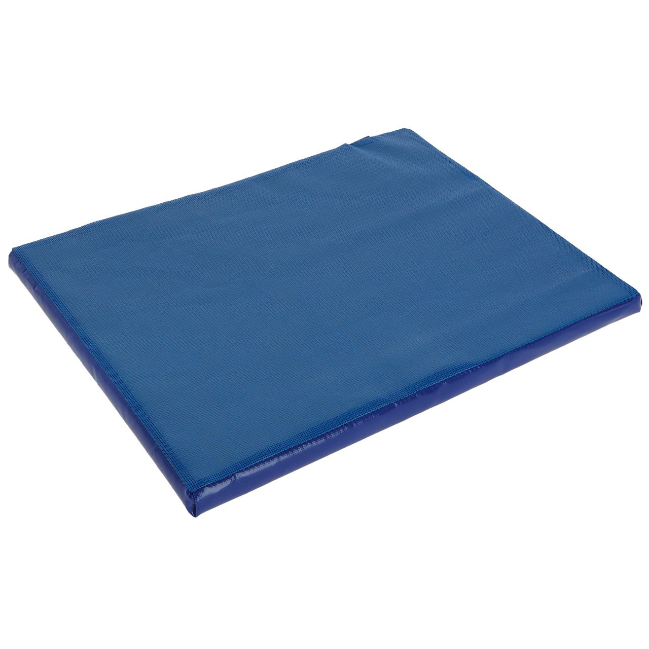 Zerbino disinfettante blu 55x45x3 cm 6 l