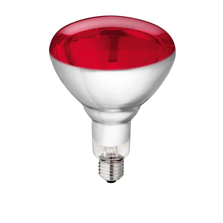 Philips lampada a infrarossi con vetro duro rosso 250 w