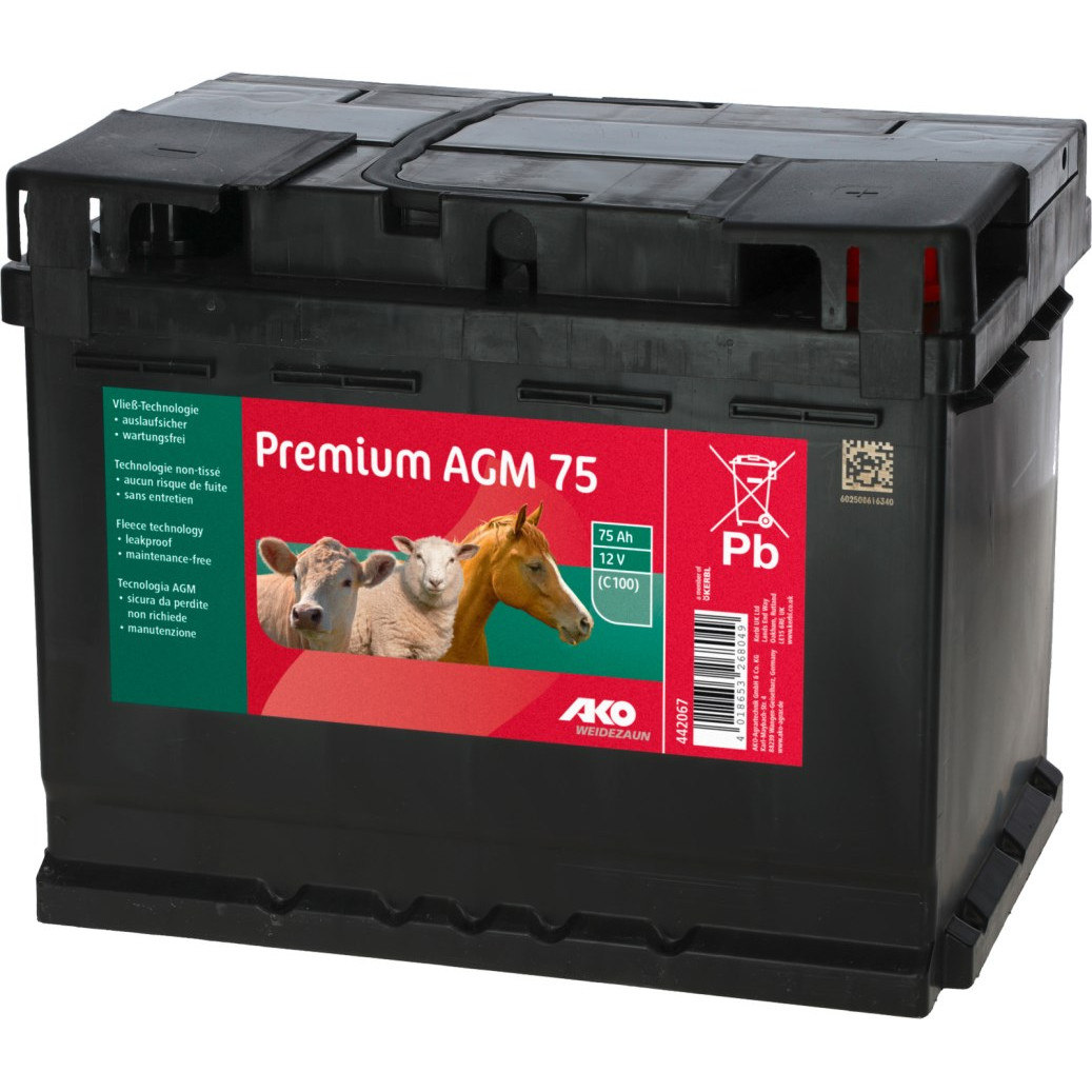 Batteria premium agm 12 vx88 ah