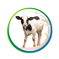 Colostro/Antidiarroici vitelli
