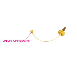 Valvola pescante